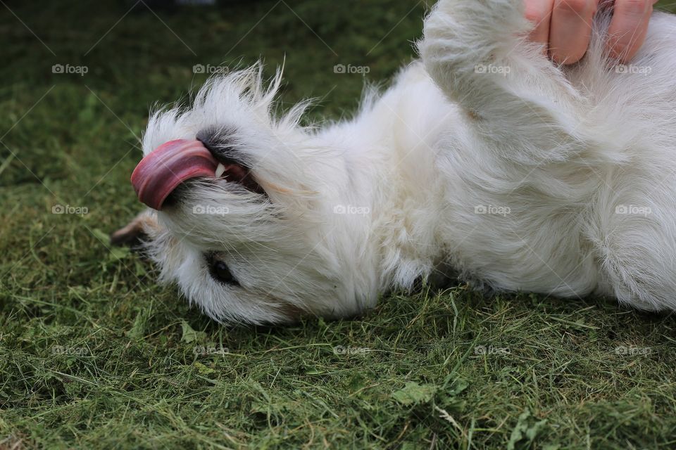 Cuddles and caresses