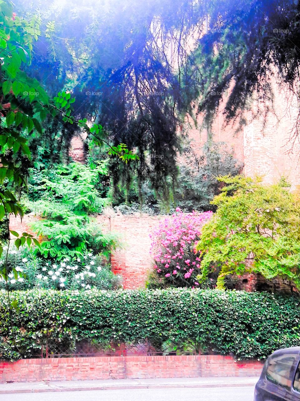 the green is life in the city too.