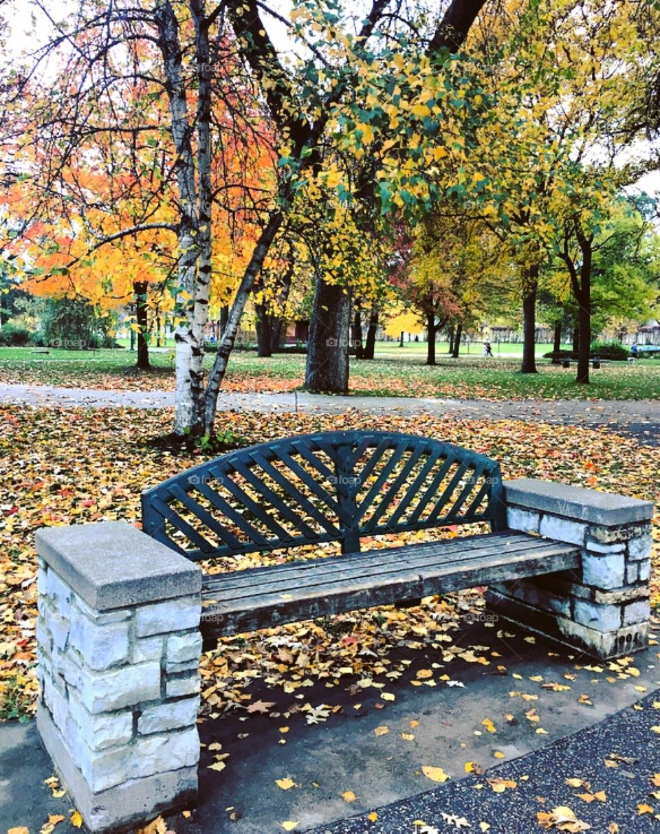 Empty Bench