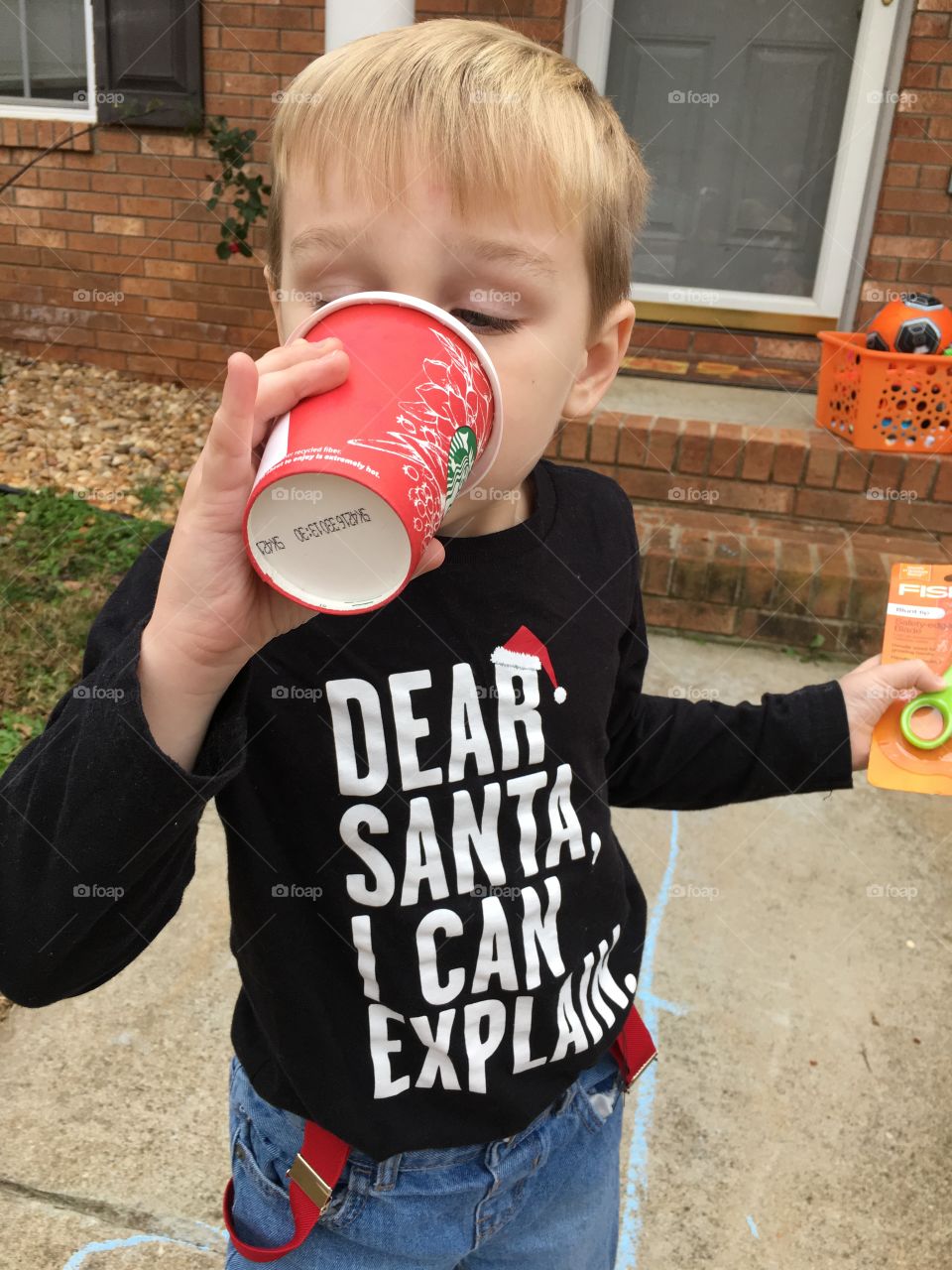 Dear Santa I can explain 