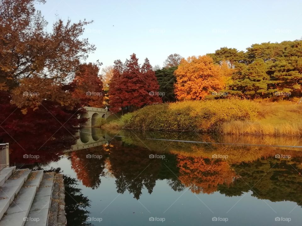 Autumn colours, Seoul