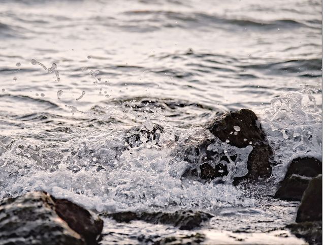 Against the Tide