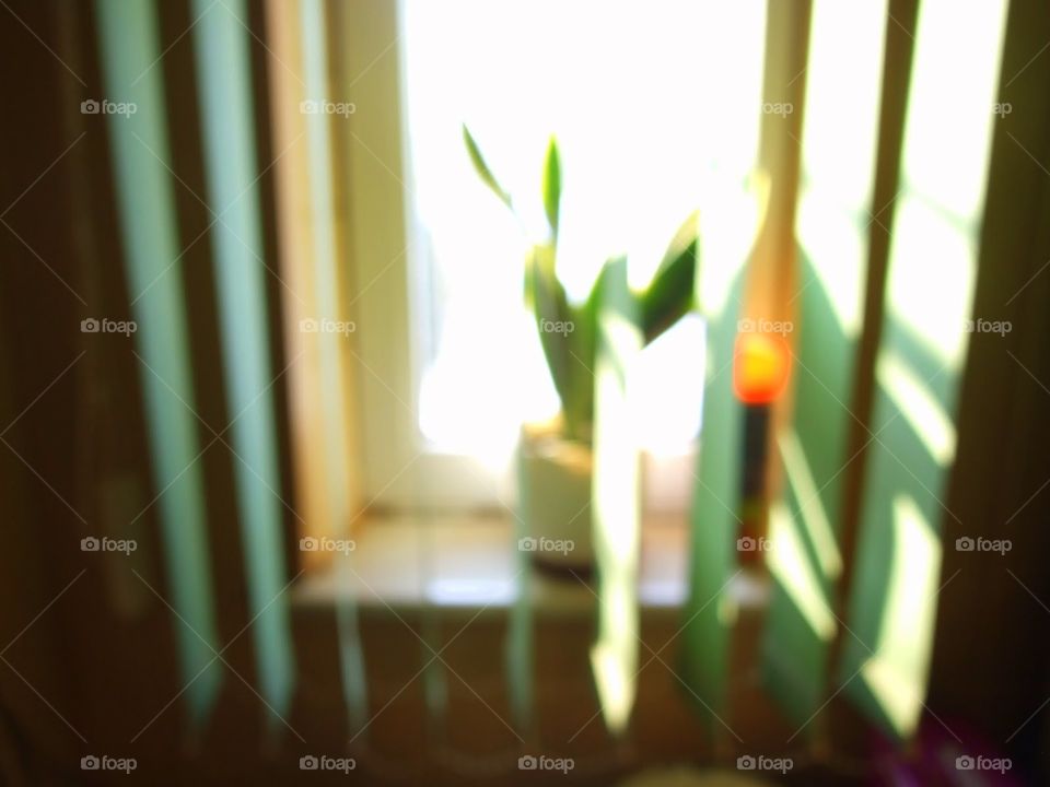 blurred window