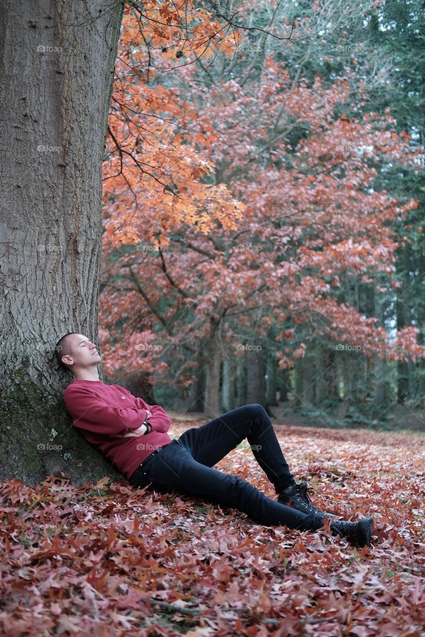 Man lying on the tree in Windsor great park