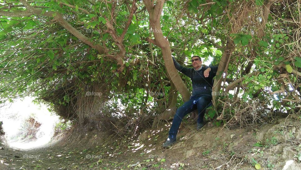 Im sitting on a brunch of a tree. in nature.