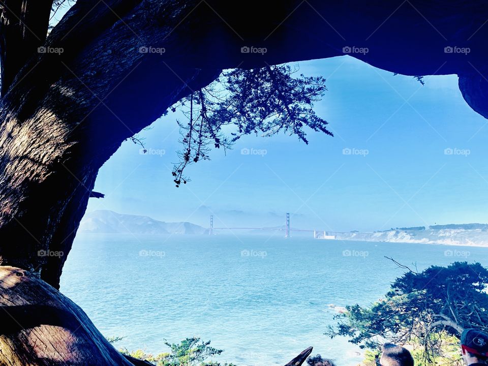 Golden gate view