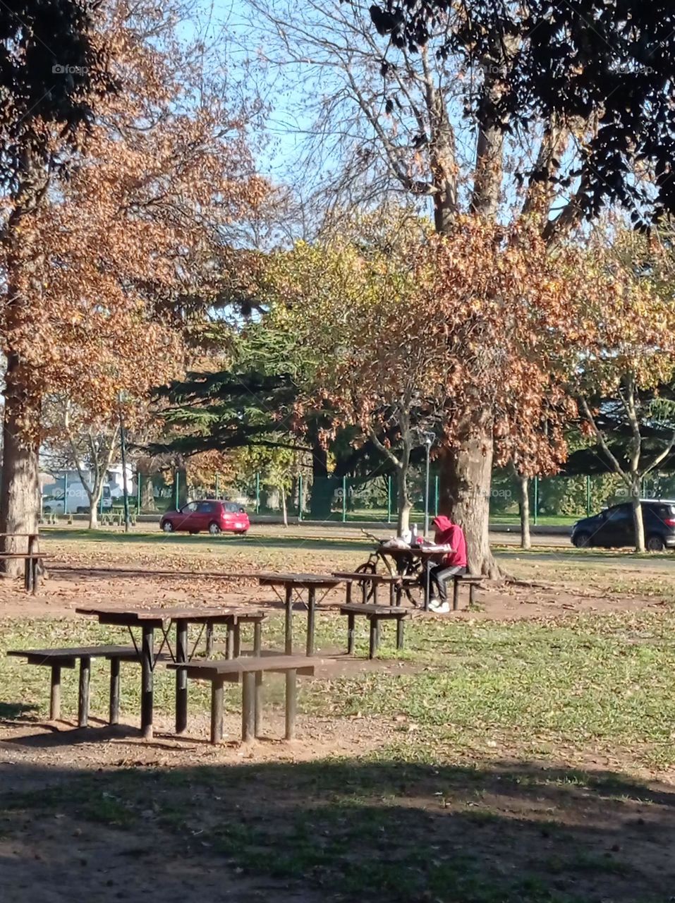 urban park of San Isidro / parque urbano de San Isidro