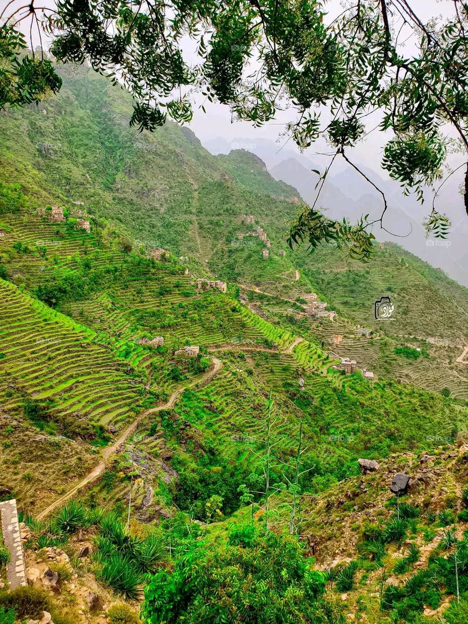 Glory be to God and the natural landscapes, and there is no place more wonderful than them. It is Happy Yemen, Raymah Governorate, gentlemen