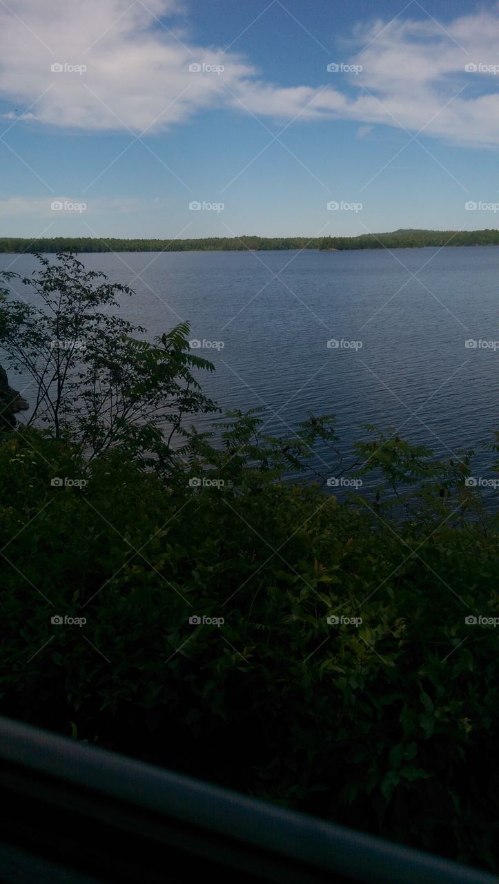 Landscape, Water, Lake, Tree, River