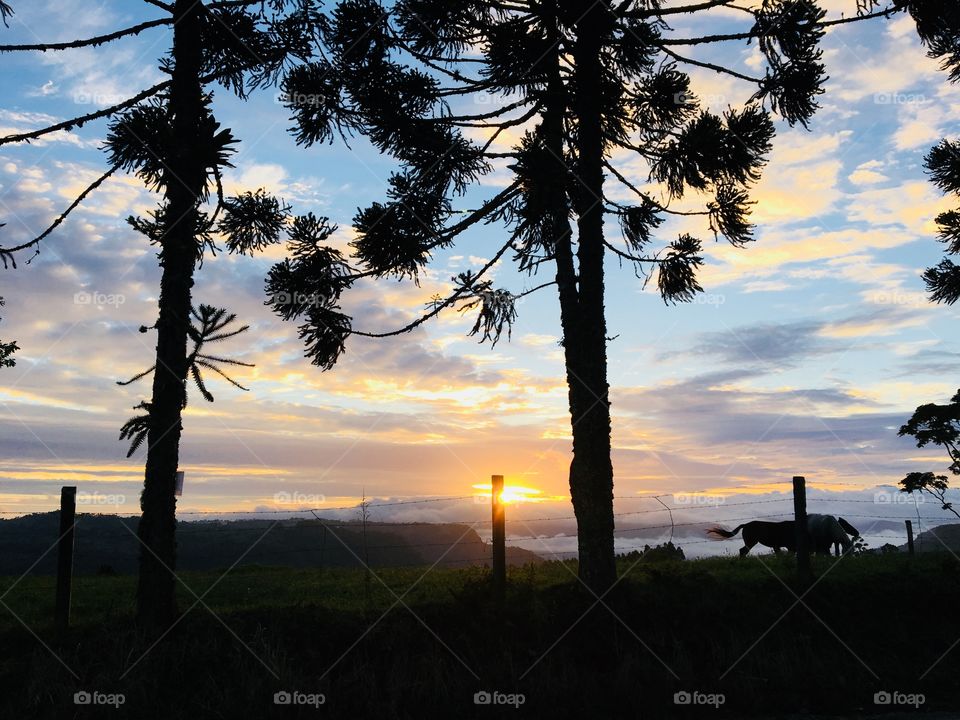 Sooner than expected after you 