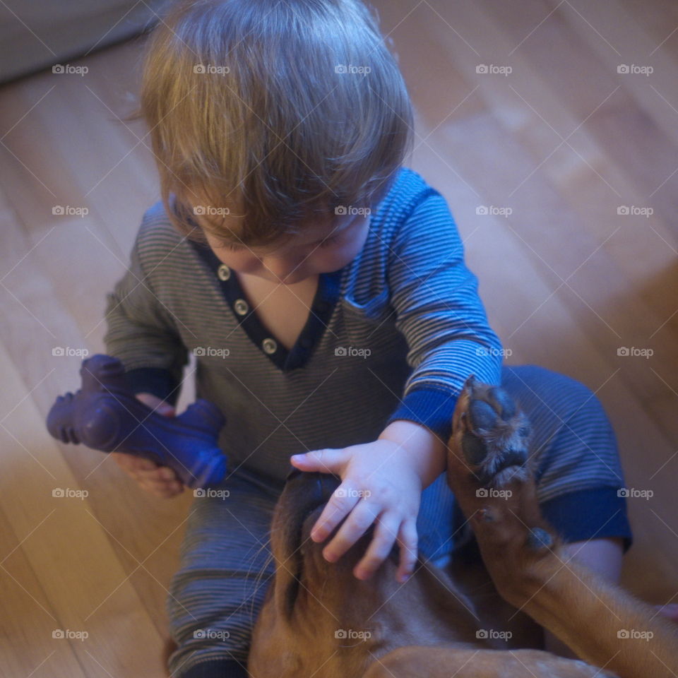 High angle view of girl playing with dog