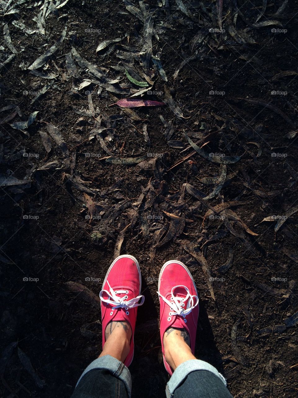 Feet in the woods early morning. 