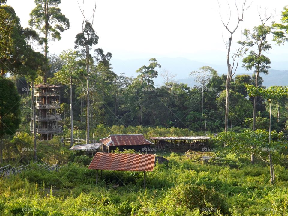An area in Borneo being renovated as an animal sanctuary, currently in a slightly ruined state 