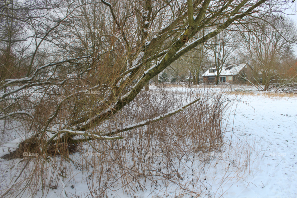 snow winter tree house by twilite