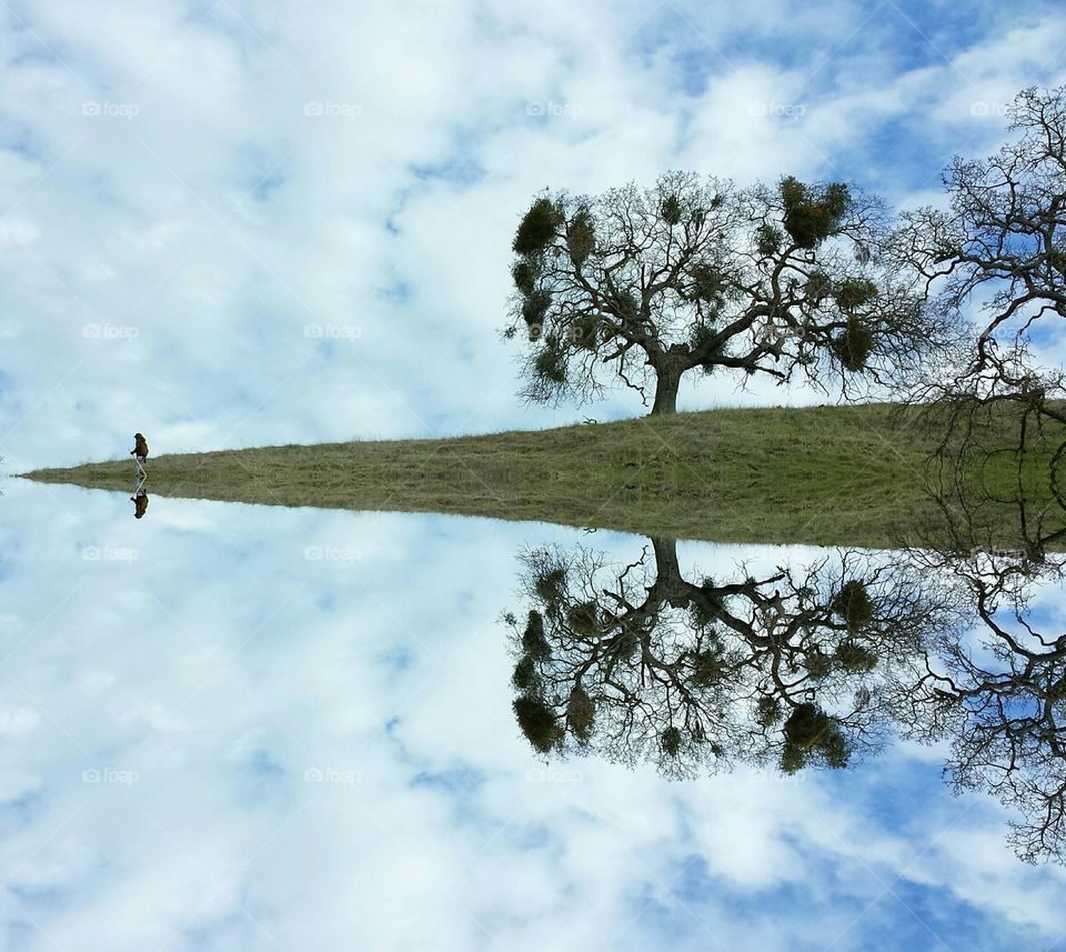 Reflection of explorer and tree on lake