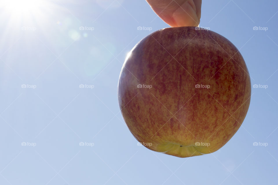 Holding apple against sun and blue sky 