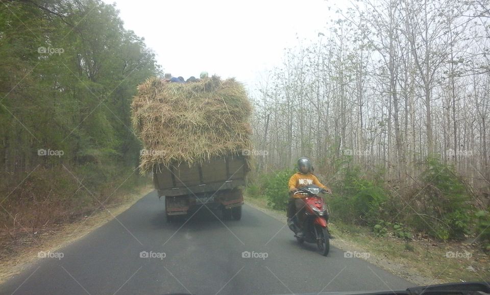 high risk. bring drying trees with truck