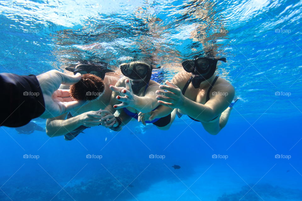 Underwater, Swimming, Water, Diving, Snorkeling