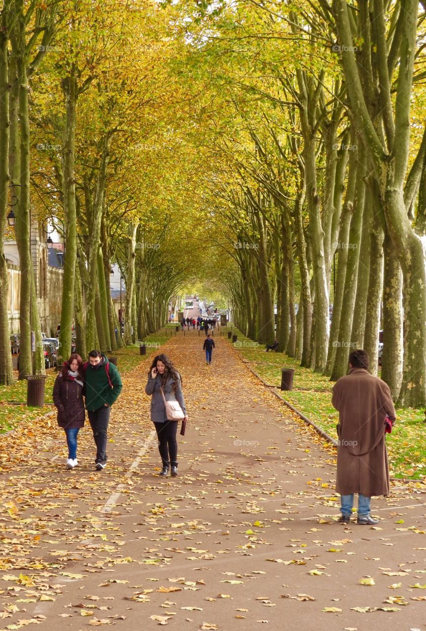 Fall walk in Versailles