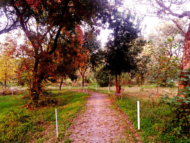 A Walk in the Park

ISB Club Walking Track, Islamabad, Pakistan.