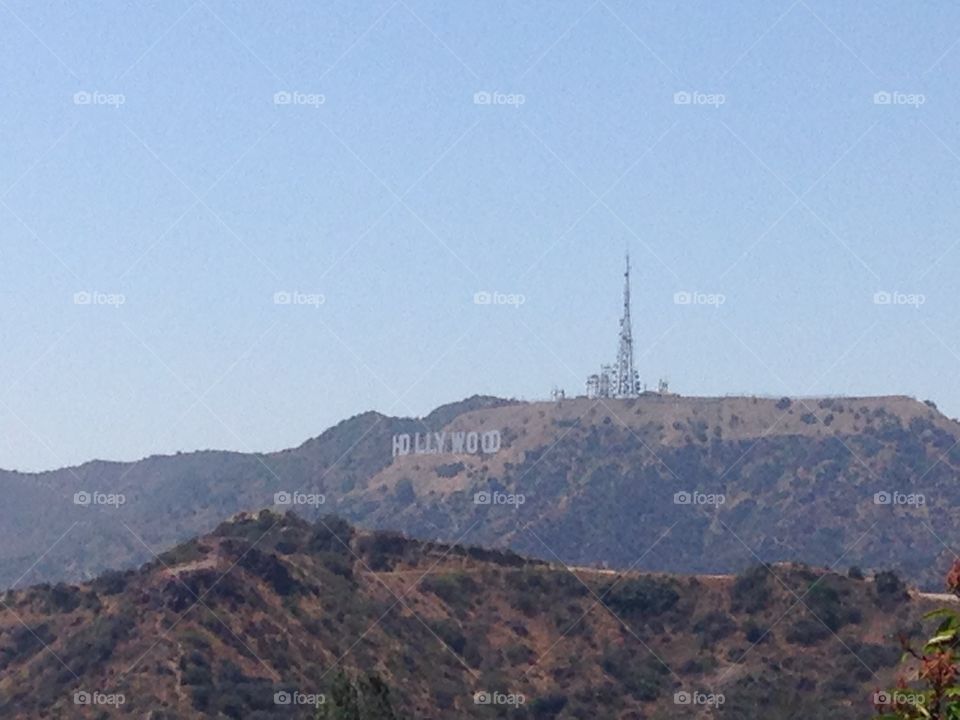 Just the Hollywood sign 