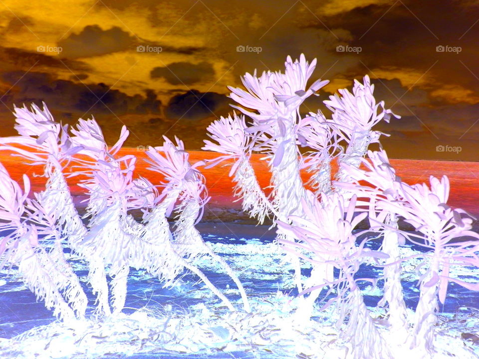 Inverse Beach Colors