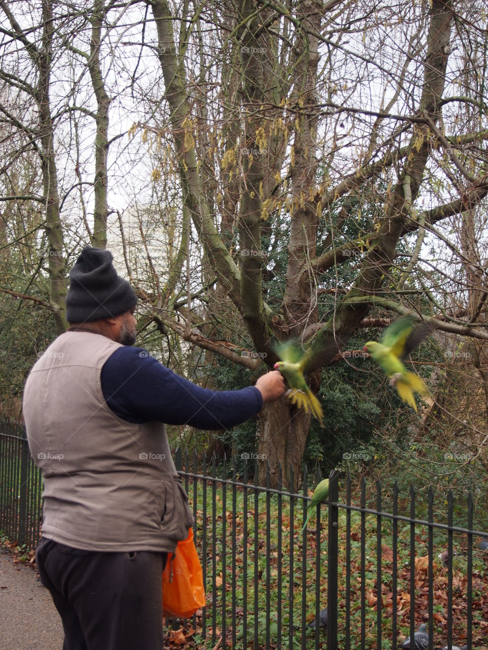 Man in the park feeding the birds