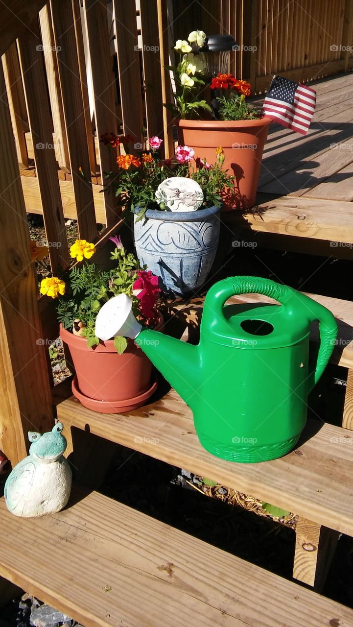 rustic country watering can flwers pots summer deck steps wood home happy gardening flag America frog colors pretty