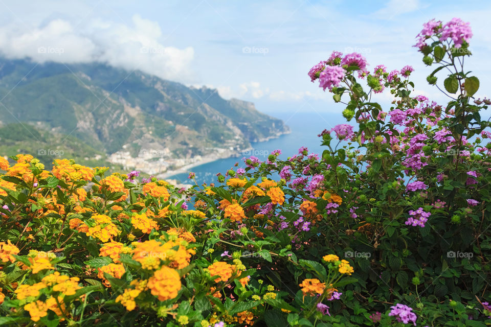 Flowers on Amalfi coast