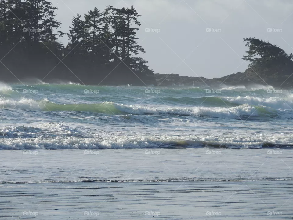 Waves