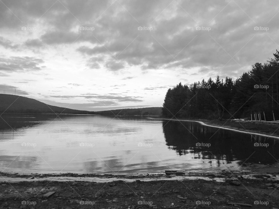 Lake and pines black and white