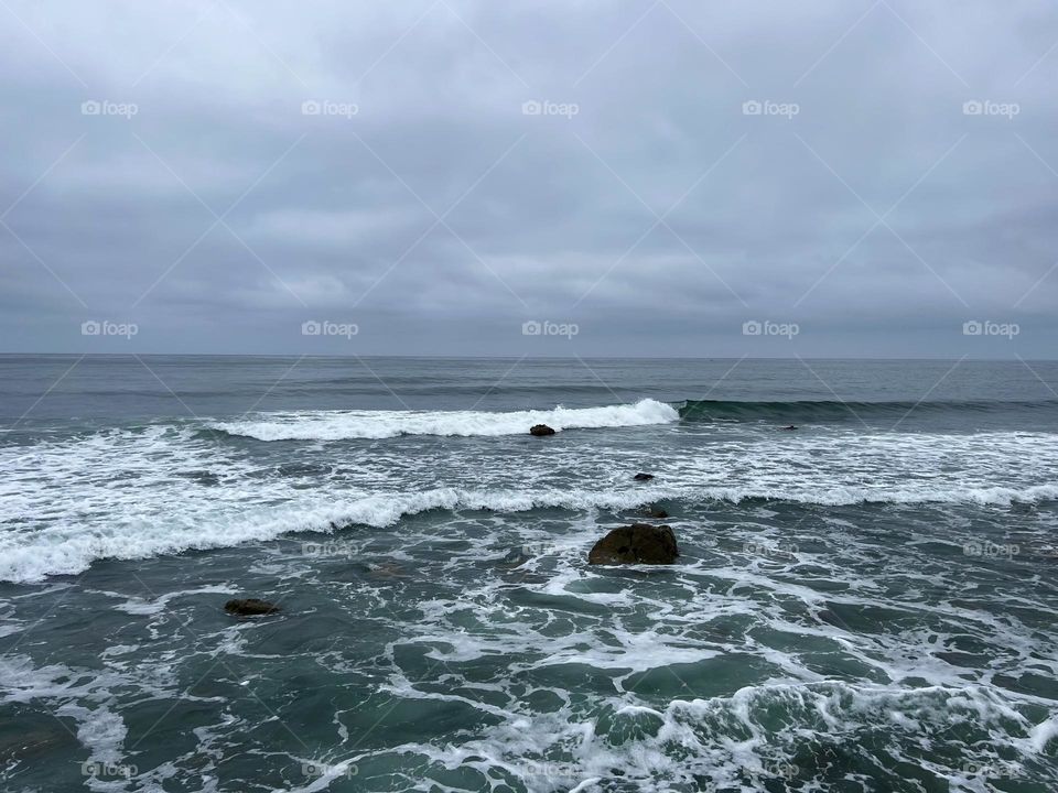 Point Loma Ecological Reserve 