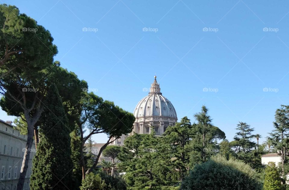 View to St. Peter's Basilique from the Vatican gardens