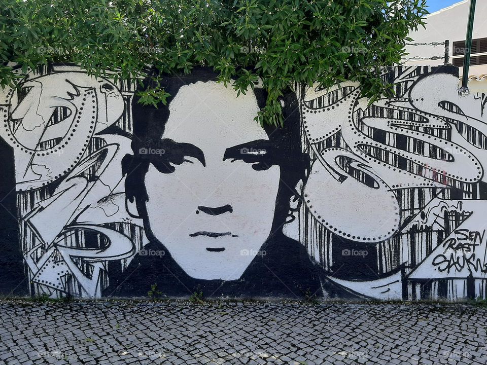 Visual Street Art - Eminem