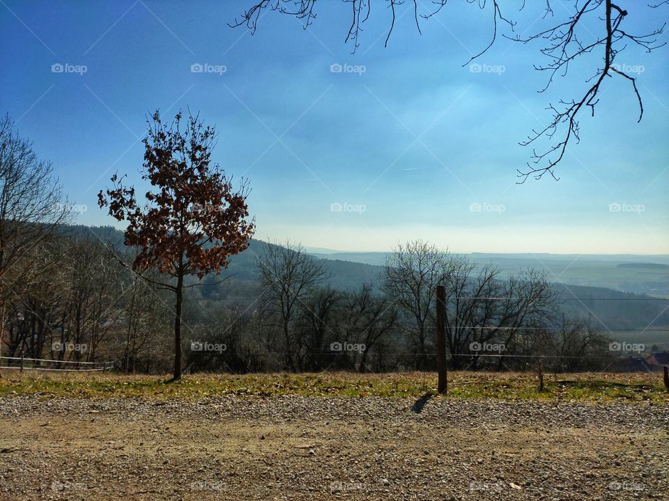 Landscape in franconia