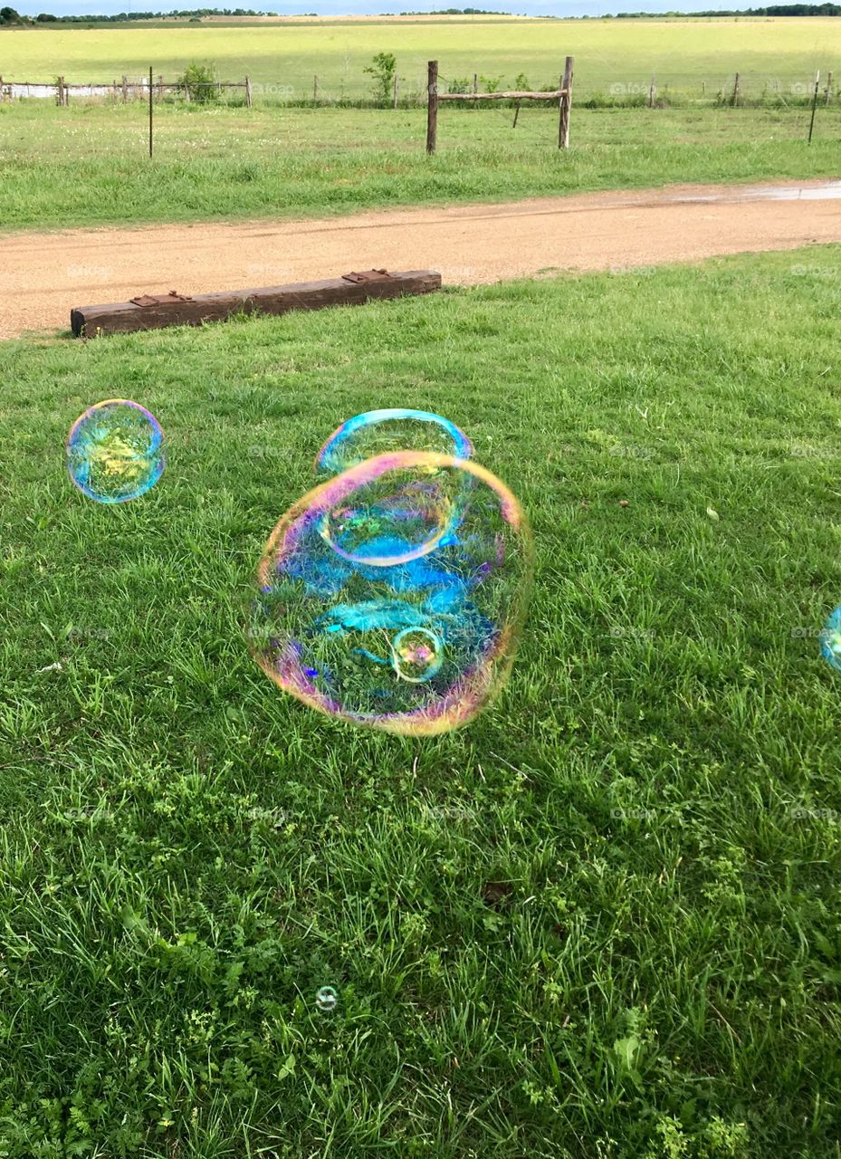 Bubbles 