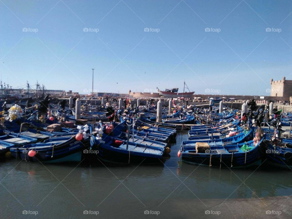 Flock of blue boats in the harbour at essaouira city.