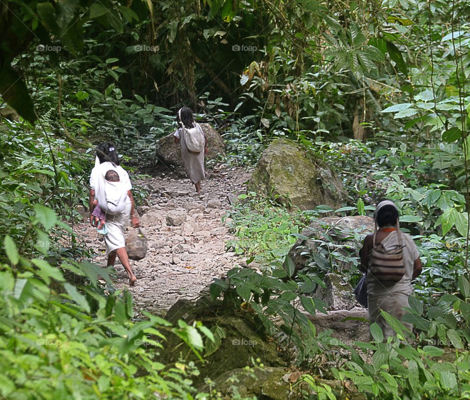 Ciudad perdida