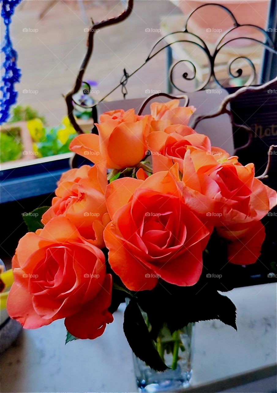 This is a beautiful bouquet of orange red roses presented on a windowsill of a house in rural „Bavaria“, Germany. 2024. Hypnotic Productions