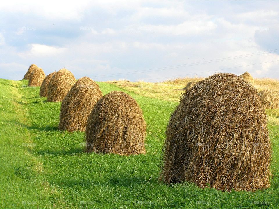 beautifully stacked sheaves of hay that make the eye happy