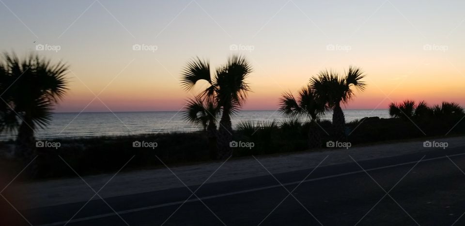 Sunset, Beach, Evening, Tree, Seashore