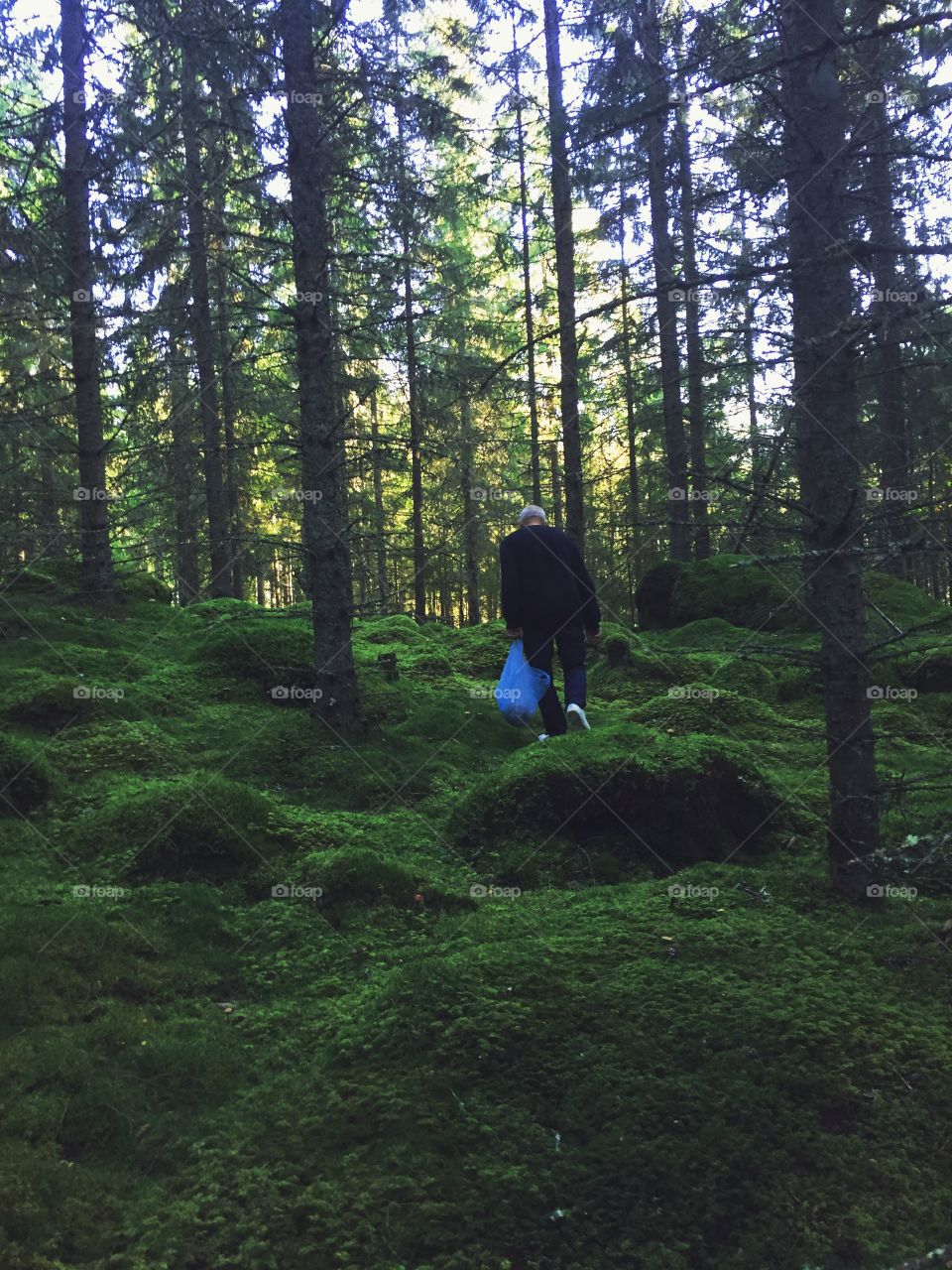 Man searching for mushrooms