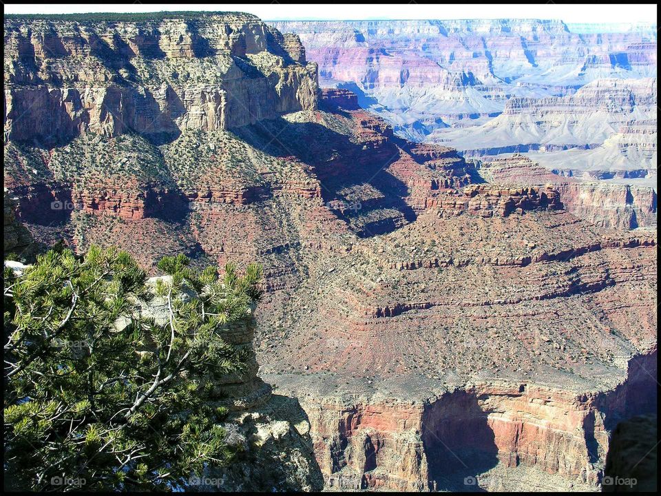 Grand Canyon by zazzle. com/fleetphoto