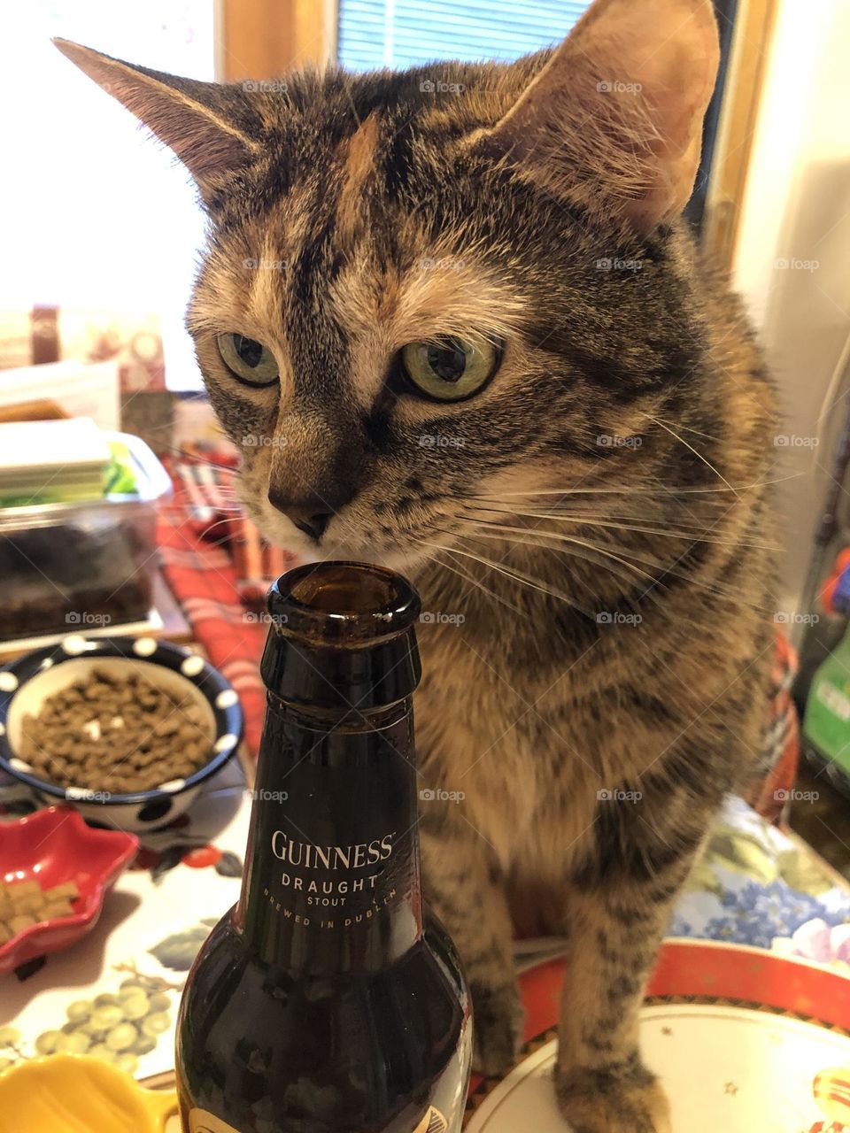 Tasting the flavor of the beer 🐾🍺