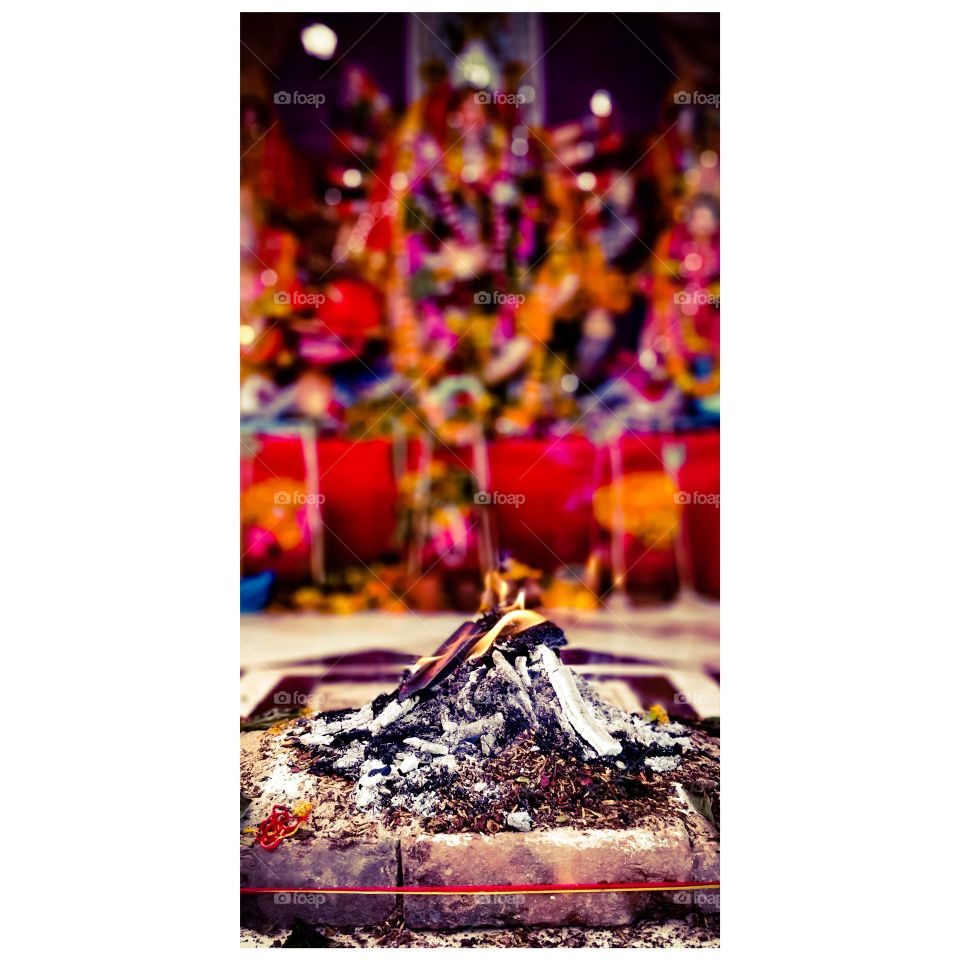 Editors' Choice: Photo of the week