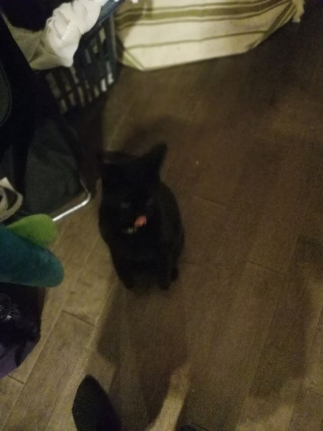 Yum