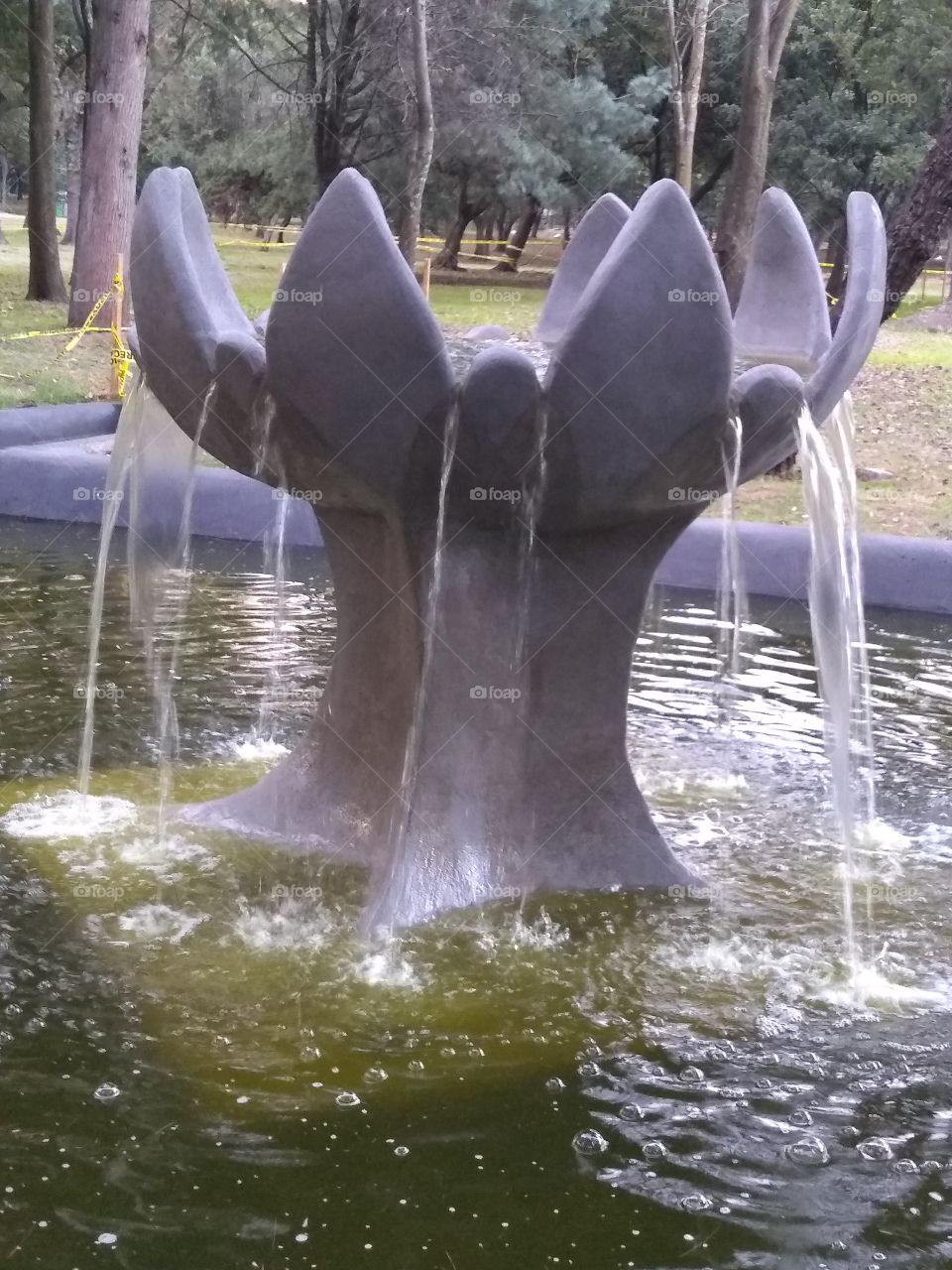 agarrando el agua de la vida.