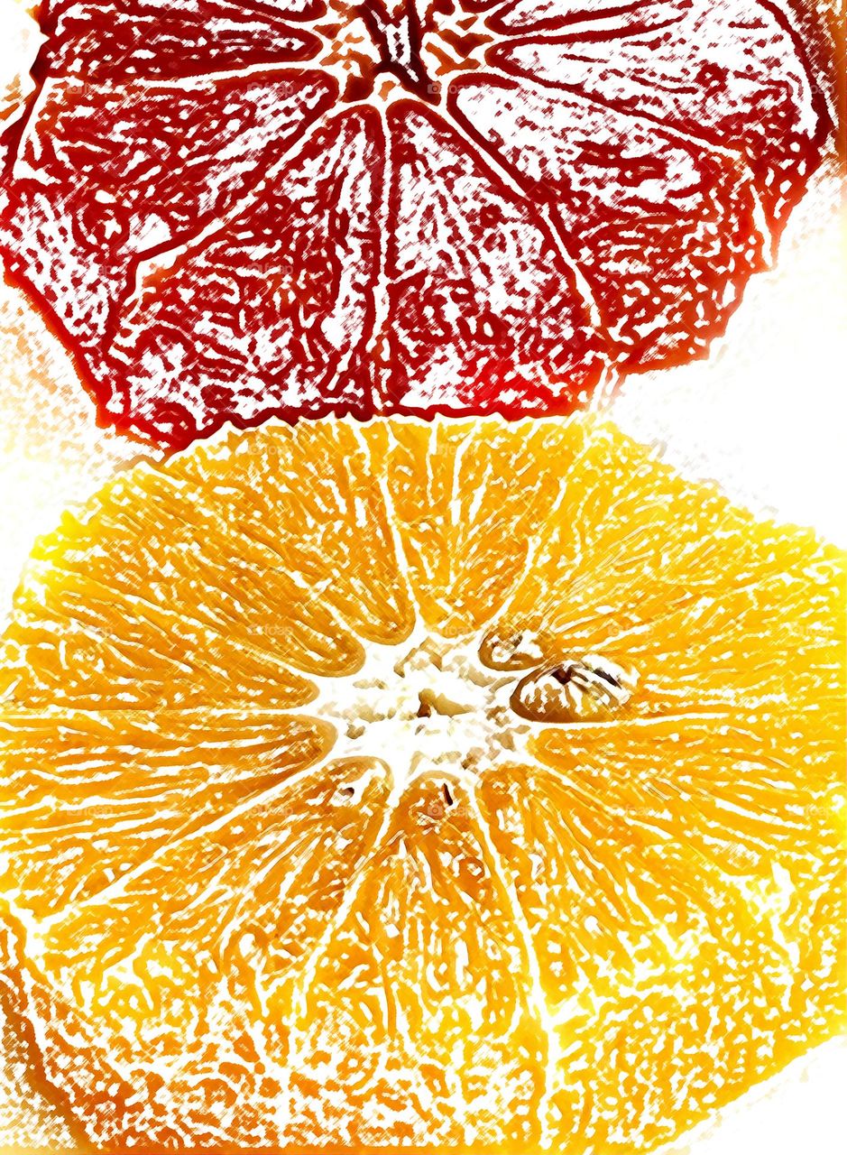 Slices of grapefruit and orange on a white background