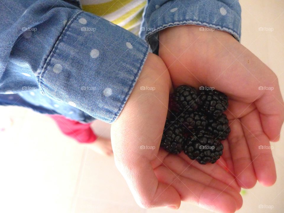 girl's hand holding blackberries indoors