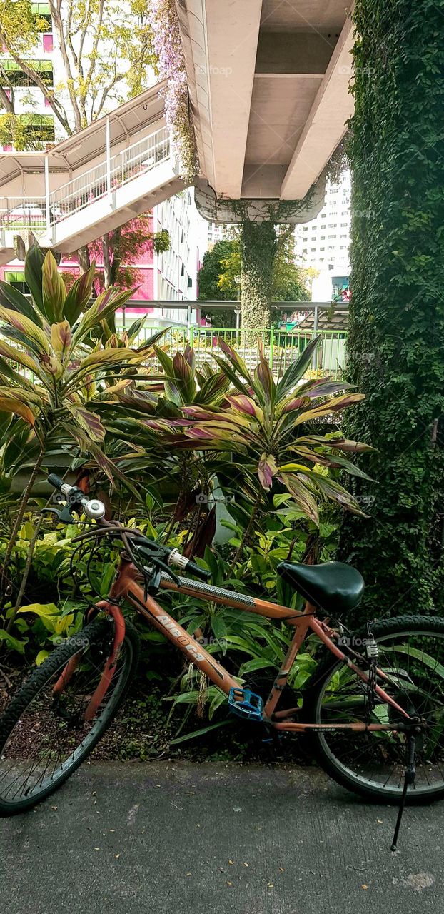 a single bicycle Infront of colourful greenery and under the over bridge